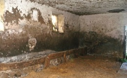 shapeimage_2