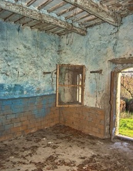 shapeimage_3